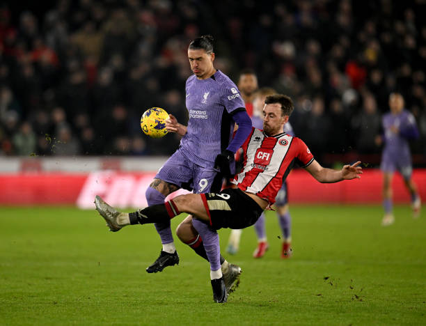 刺穿波鸿的 刺穿波鸿的