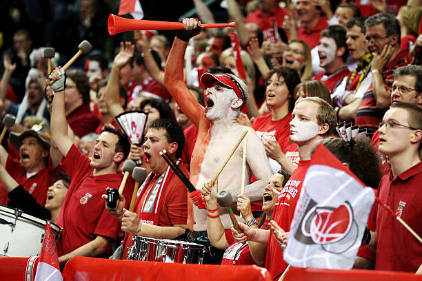 不仅展现了 不仅展现了